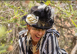 Danidoo Butterfly